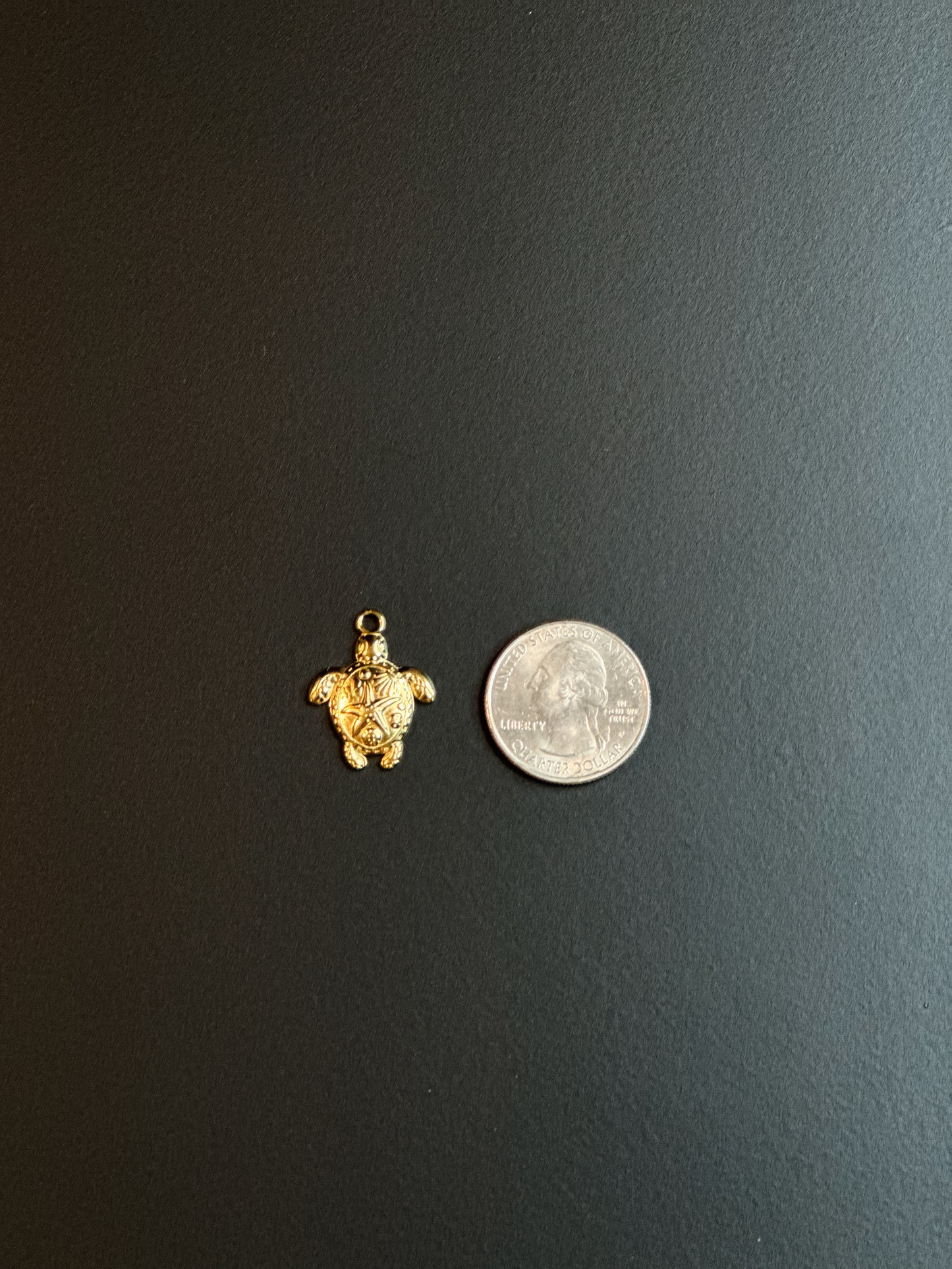 TURTLE CHARM
