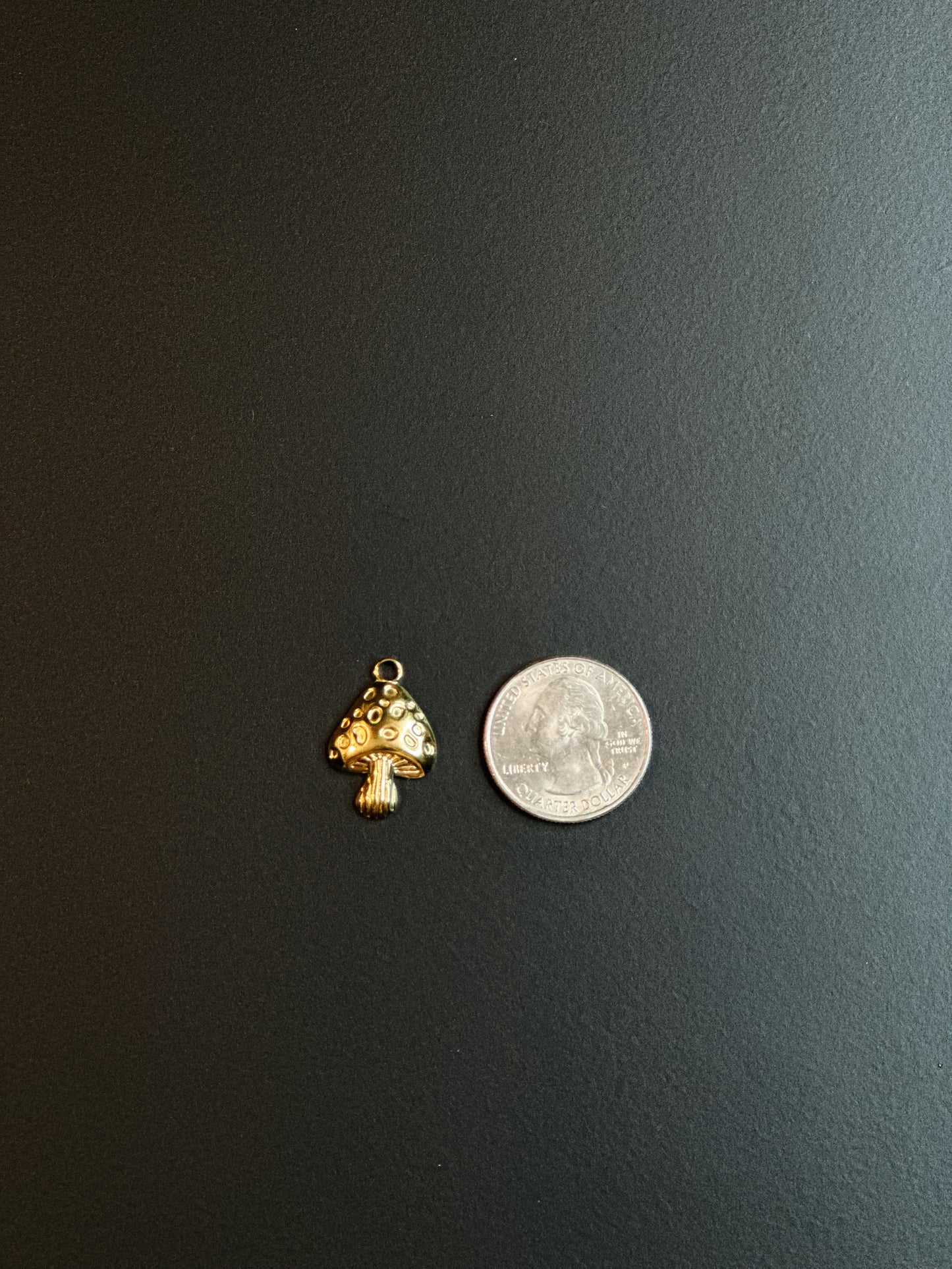 HONGUITO CHARM