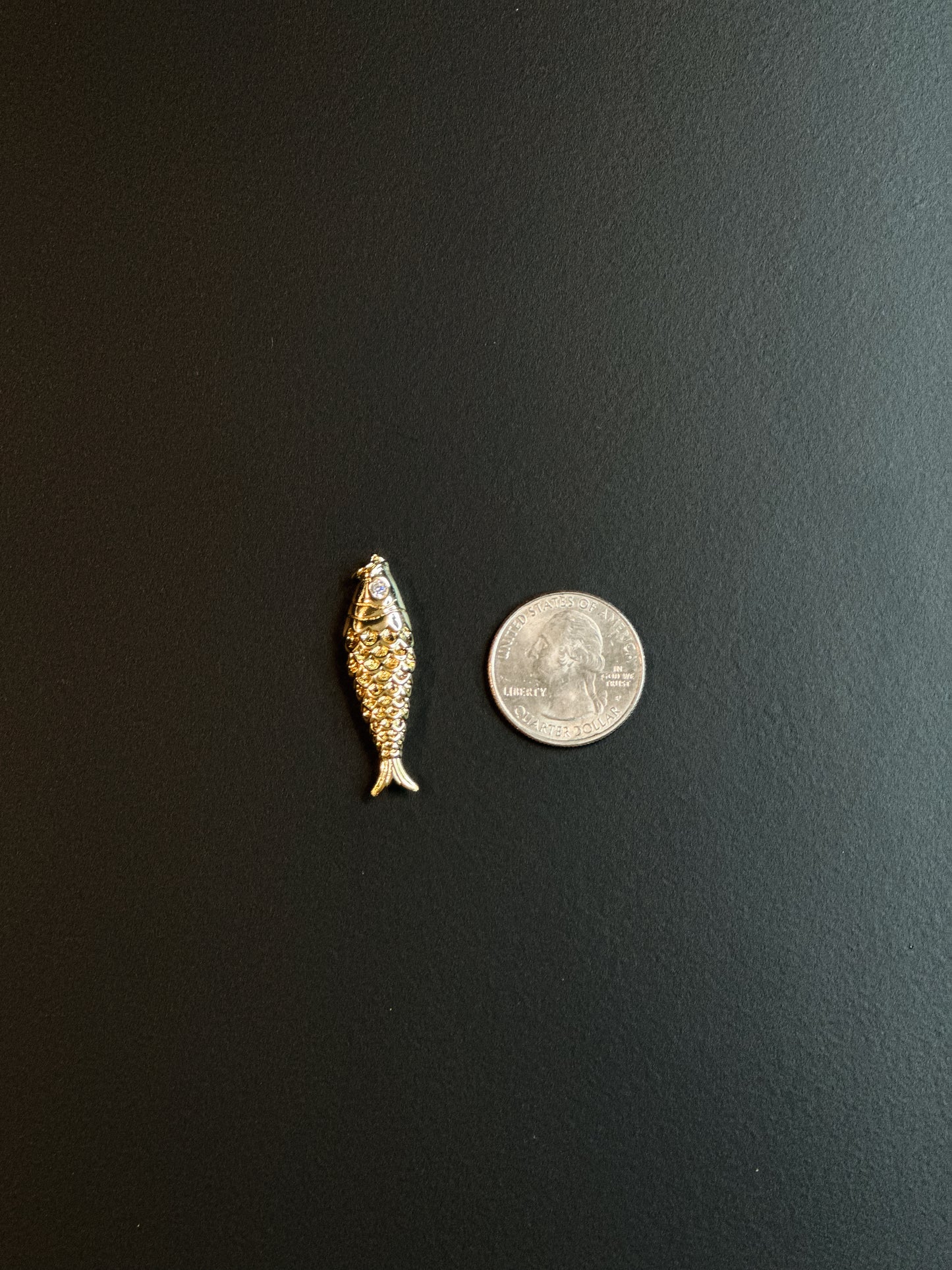 FISH CHARM