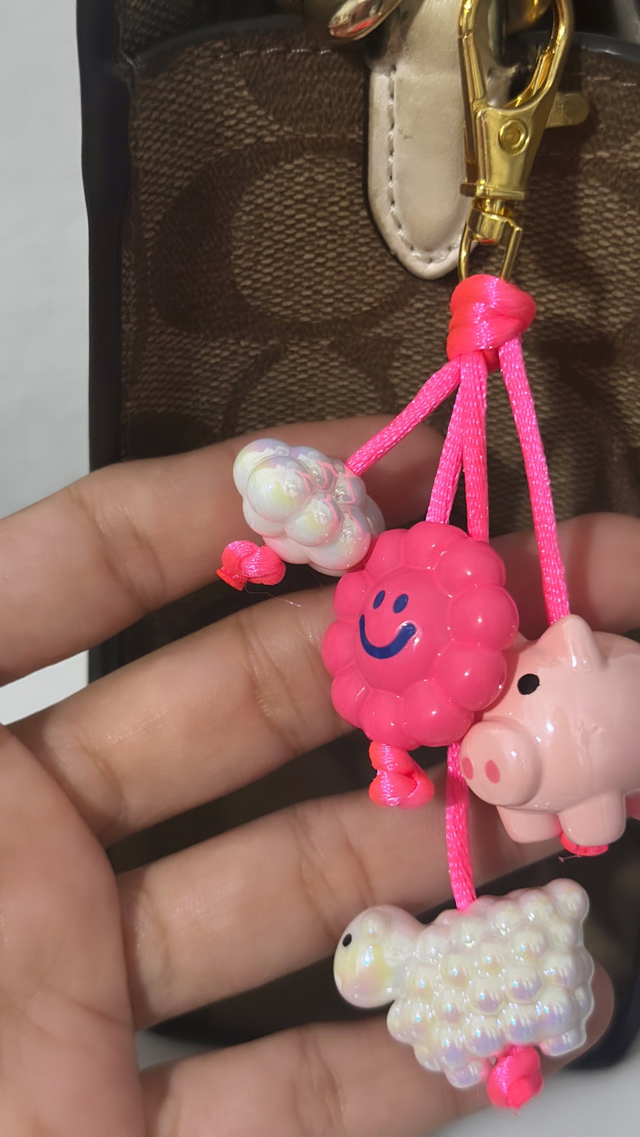 Pinky Bag Charm