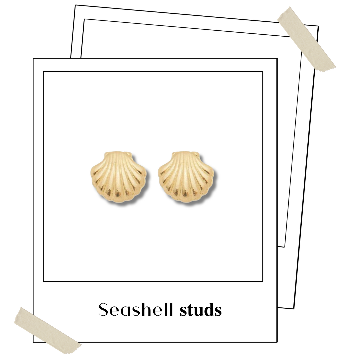 Seashell 𝐬𝐭𝐮𝐝𝐬